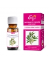 Tea Tree Oil
